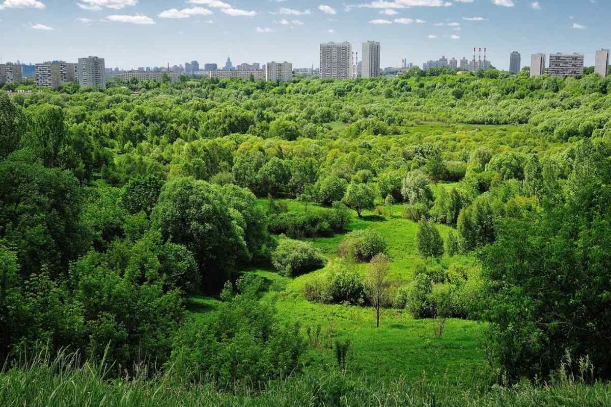 Парк памятник природы Сходненский ковш Москва